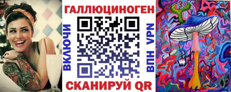 ОМГ ОМГ   дарнет шоп  Елабуга  Псилоцибиновые грибы Psilocybine cubensis 